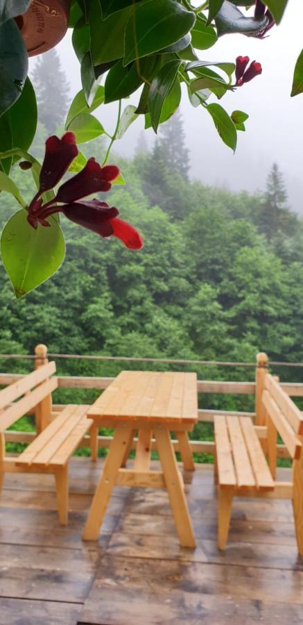 Serinyer Dag Evi Ayder Exterior foto